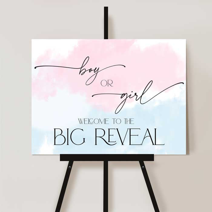 Gender Reveal Welcome Board – Pink & Blue Party Sign