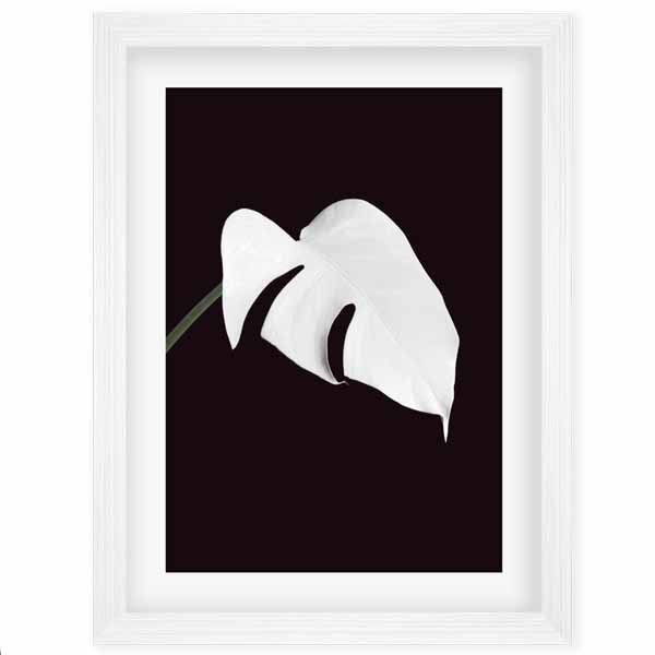 delicious monster LEAF PRINT WHITE