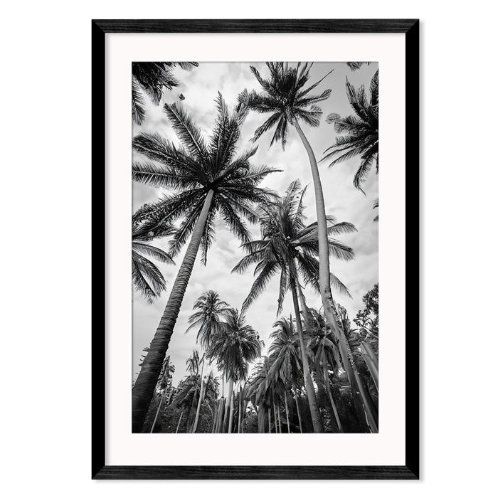 Monochrome Palm Trees 2