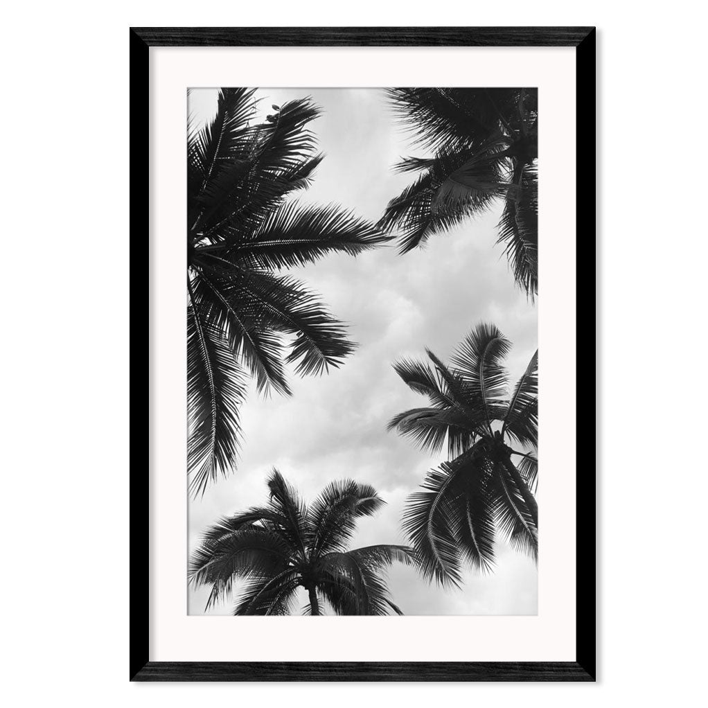 Monochrome Palm Trees 3