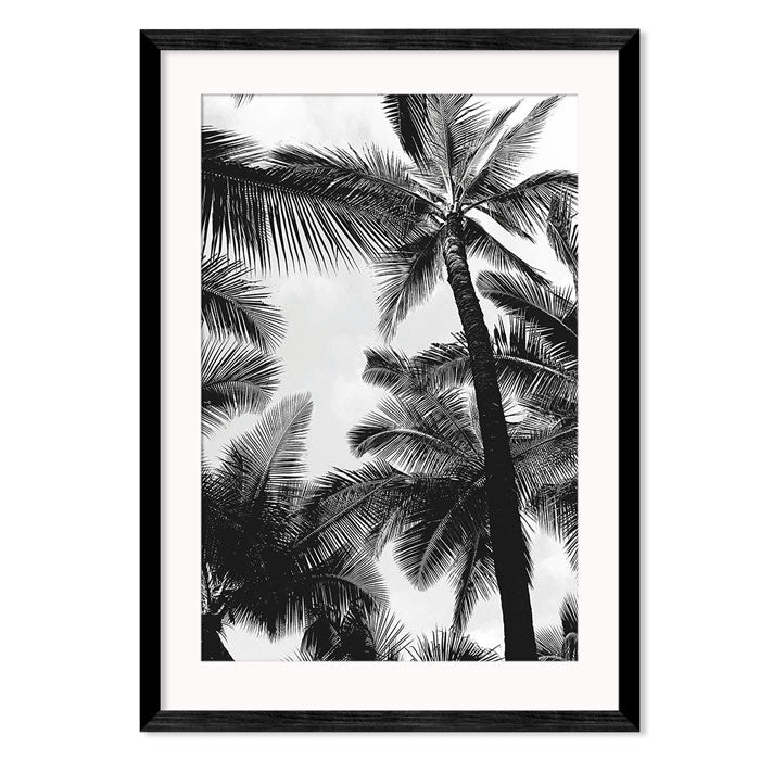 Monochrome Palm Trees 1