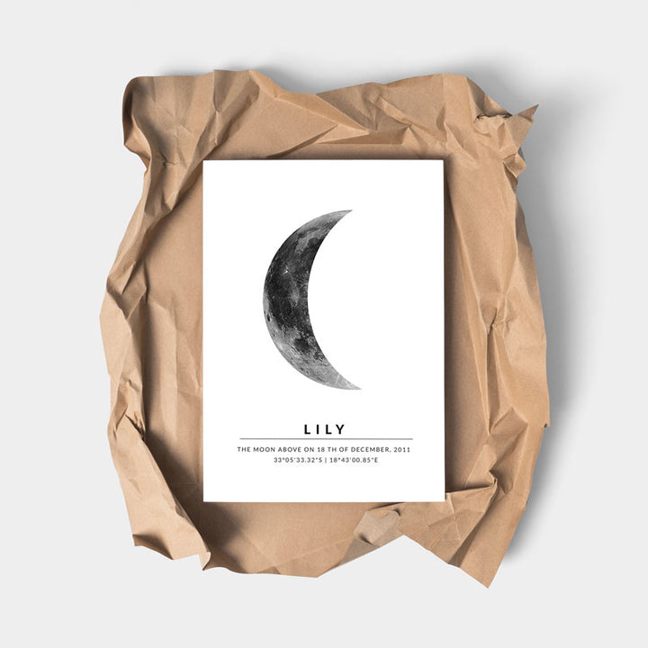 moon map poster