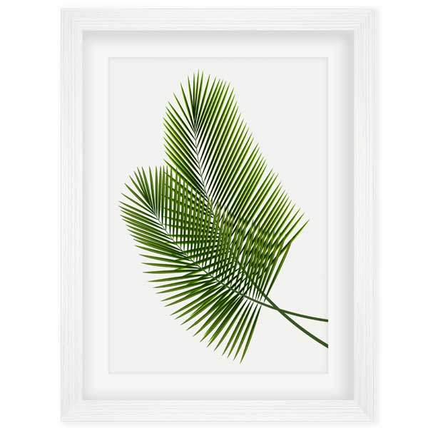 palm leaves art print